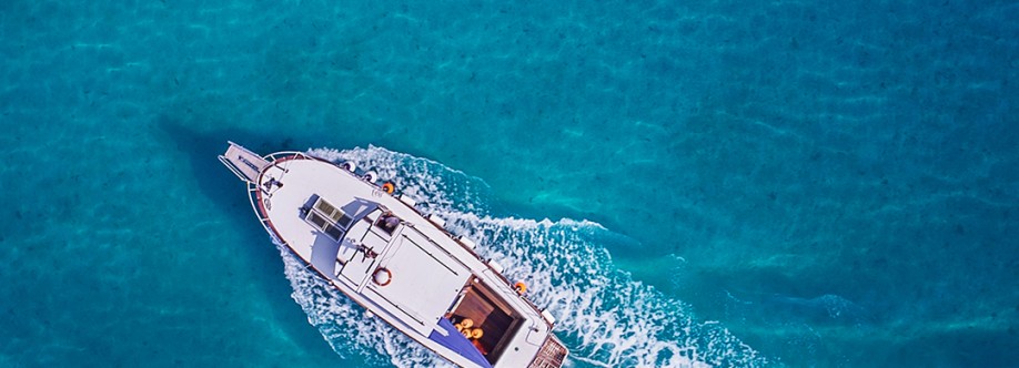 عاصم الحسام Cover Image